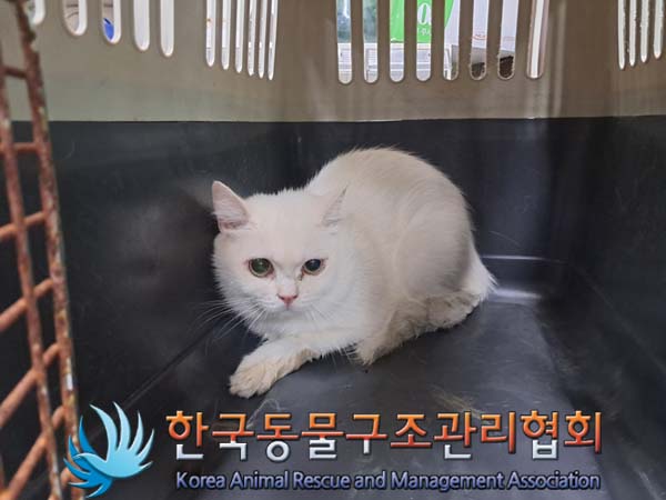 한국동물구조관리협회_411322202400451